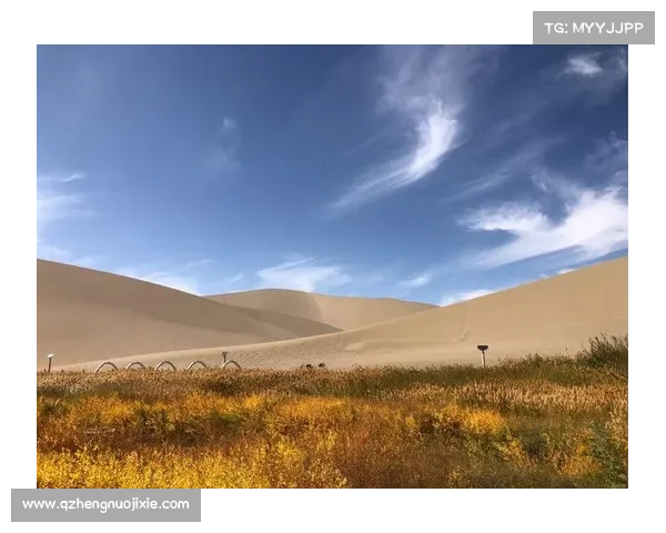 边陲荒漠中的冥想之旅如何启迪心灵与自我觉醒 边陲荒漠中的冥想之旅如何启迪心灵与自我觉醒