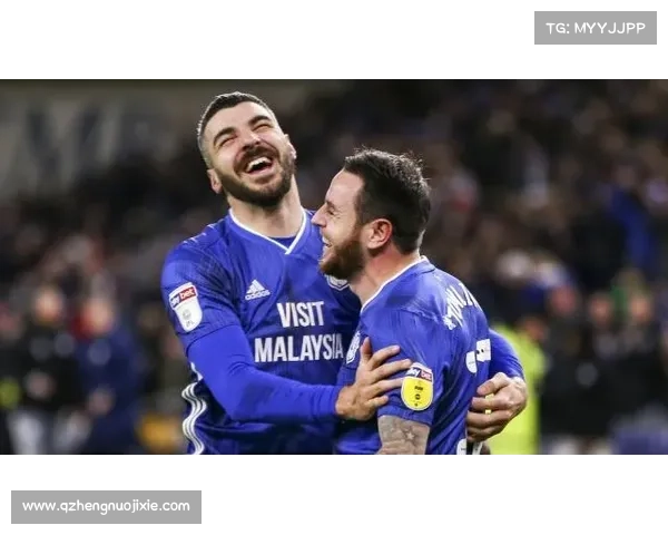 如何通过多种途径了解加的夫城足球队所属联赛及其竞技水平